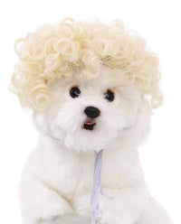 Synthetic Short Curly Pet Wigs with Adjustable Straps Funny Dog Cosplay Curly Hair Cat Wigs - ABHAIR