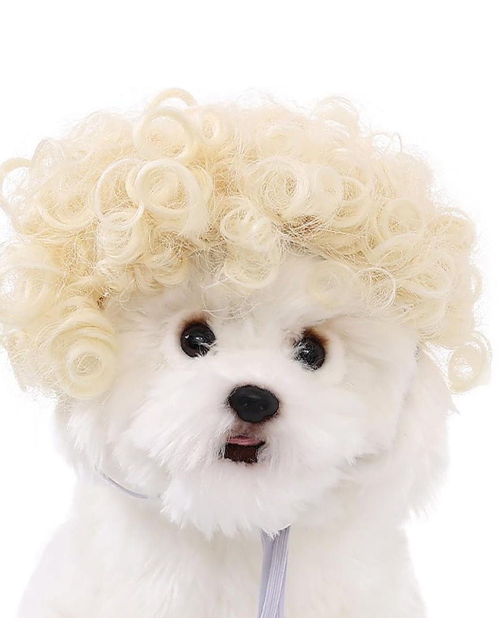 Synthetic Short Curly Pet Wigs with Adjustable Straps Funny Dog Cosplay Curly Hair Cat Wigs - ABHAIR