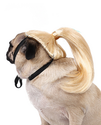 Long Synthetic Blonde Pet Wig - ABHAIR