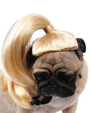 Long Synthetic Blonde Pet Wig - ABHAIR